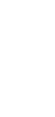 IDP Romania